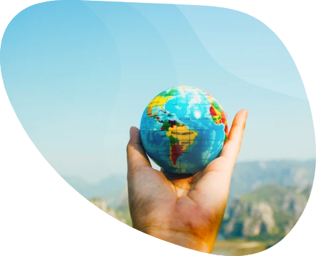 https://rayshorepremier.com/wp-content/uploads/2024/11/image-11.png